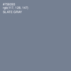 #758093 - Slate Gray Color Image